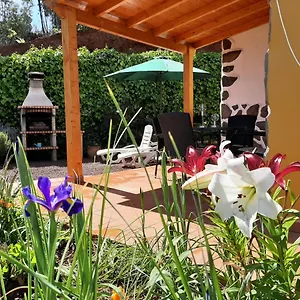 Ferienhaus Barrancolaurel, Moya (Gran Canaria)